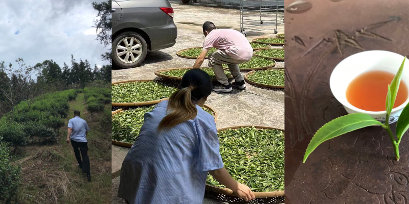 Tea Making Gift in MeiZhou