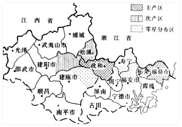 White tea map